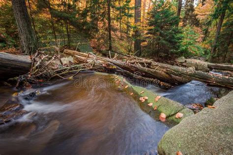 Mountain Stream With Waterfall In An Autumn Forest Stock Photo Image