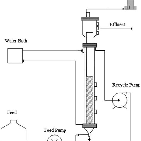 Schematic Diagram Of Reactor Setup Download Scientific Diagram