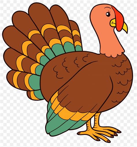Thanksgiving Turkey Clip Art Png 3243x3500px Turkey Beak Bird Chicken Clip Art Download Free
