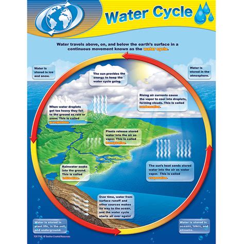 Water Cycle Chart Tcr7743 Teacher Created Resources Chartsscience