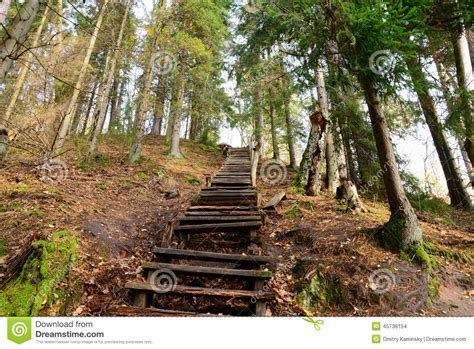 Old Wooden Stairs In The Forest Stock Photo Image Of Sights