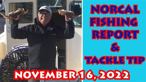 Whats Biting Norcal Weekly Fishing Report Tackle Tip November 16