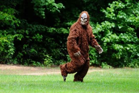 The 10 Best Bigfoot Costumes On The Market Bigfoot Base Bigfoot
