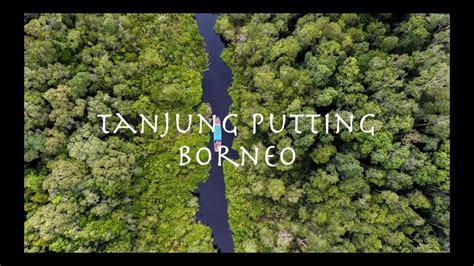 Wonderful Indonesia Tanjung Puting National Park Borneo Youtube