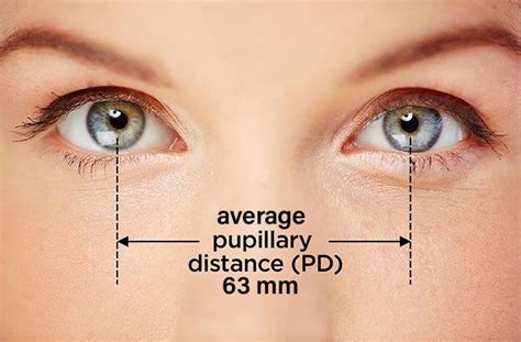 Pd Glasses Meaning What Is Pd Pupillary Distance Payne Glasses