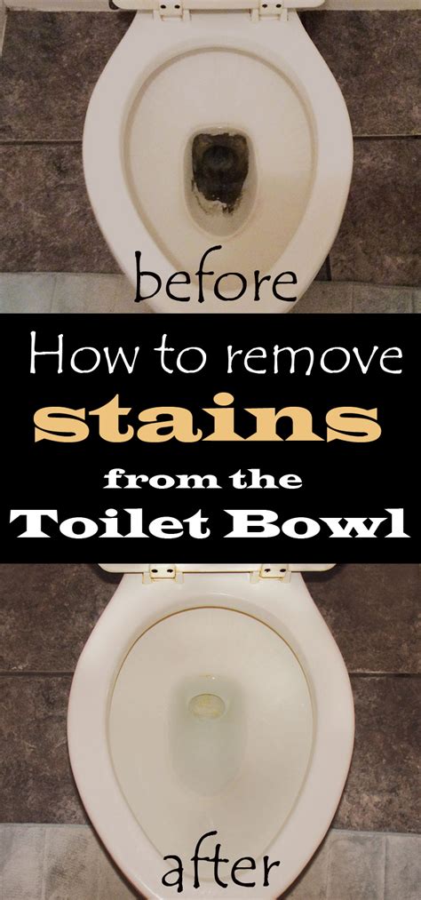 How To Remove Stains From The Toilet Bowl CleaningTips Net