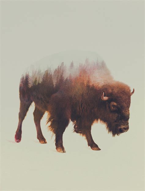 Double Exposure Animal Portraits By Andreas Lie Ignant
