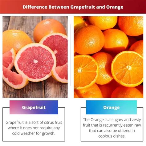 Grapefruit Vs Orange Difference And Comparison