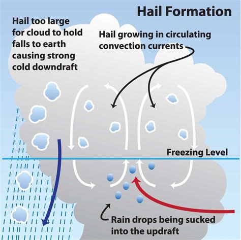 Whats The Difference Explaining Precipitation Types Weather Blog