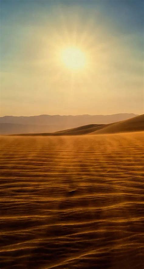 Gold Desert Into The Sunset The Iphone Wallpapers