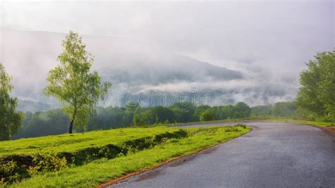 Road Winds Through The Foggy Countryside Stock Photo Image Of Rural