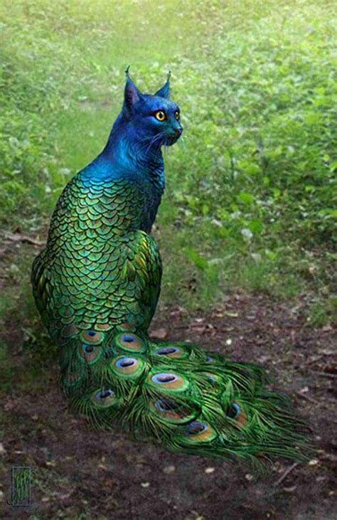 Photoshopped Animal Hybrids In 2019 Novel Inspiration Art Animals