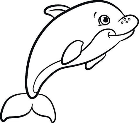 Coloring Pages Marine Wild Animals Little Cute Dolphin Illustrations