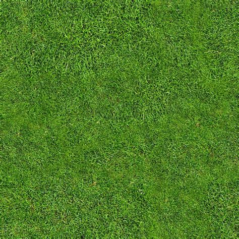 Seamless Tiling Grass By ~cesstrelle On Deviantart Rumput Pohon