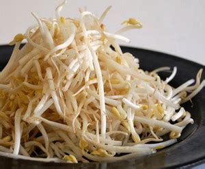 Here, you will find useful information about obtaining the bean sprouts. Bean Sprouts Health Benefits And Nutrition Fact - Natural ...
