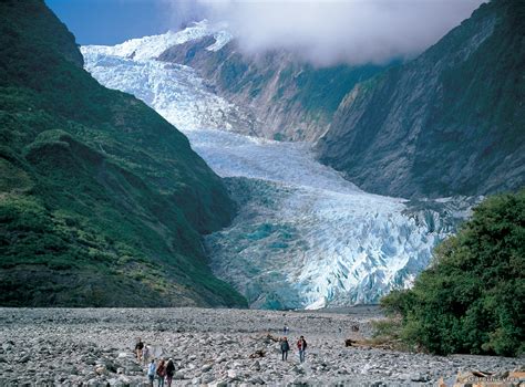 Fox Glacier The West Coast Region Of New Zealand New Zealand South