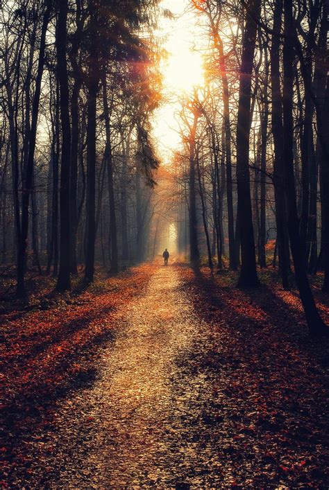 Lonely Walker Woods By Fmphotography On 500px Loneliness Photography