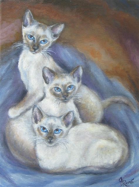 75 Best Images About Siamese On Pinterest Watercolors