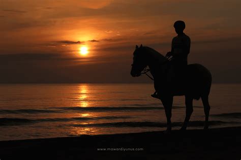 Photos, address, and phone number, opening hours, photos, and user reviews on yandex.maps. Villa Danialla Tok Bali Tawar Harga Bilik Serendah RM300 ...