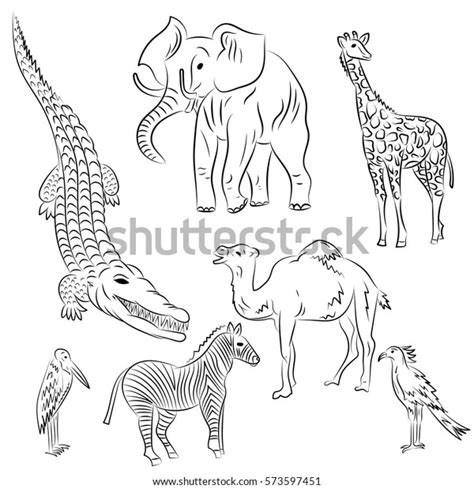 Hand Drawn African Animals Birds Doodle Stock Vector Royalty Free