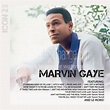 Album Art Exchange - Marvin Gaye ICON 2CD by Marvin Gaye - Album Cover Art