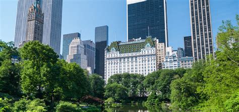 The 11 Best Hotels Near Central Park In 2023