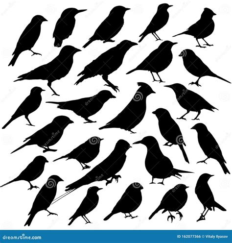 Birds Silhouette Collection Stock Vector Illustration Of Raven