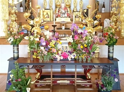 美しく花が咲く令和へ～こぢょっこ寺の花まつり | 本住寺