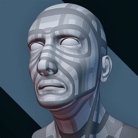 face topology guide from the mesh modeling bootcamp r blender