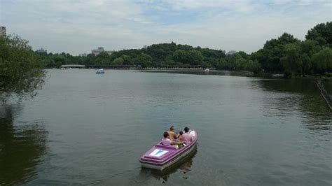 4031040429 Lake In Changfeng Park Shanghai Bricoleurbanism Flickr