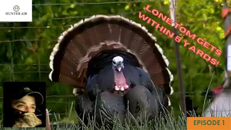 intense airgun turkey hunt youtube