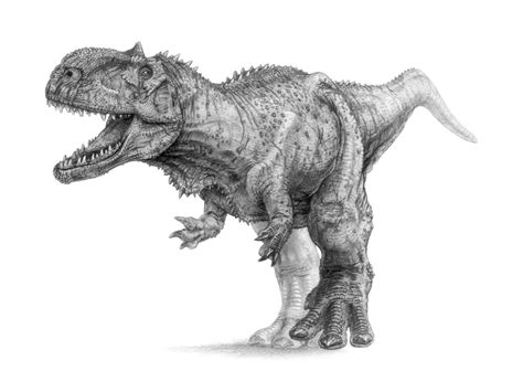Best 10 Dinosaur Drawing Ideas My Dinosaurs