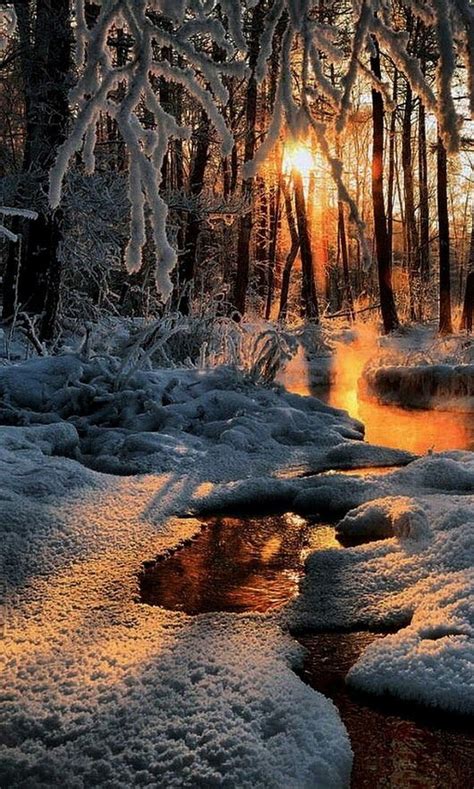 Pin By Ilze Valujeva Stelmaka On Winterbilder Winter Scenery