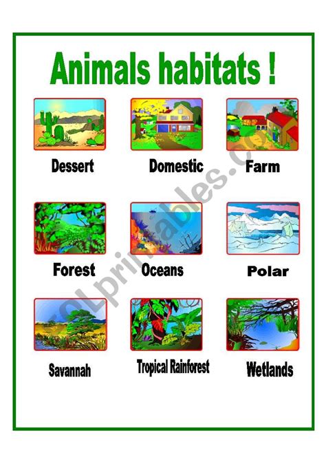 Animals Habitats Esl Worksheet By Aiyana