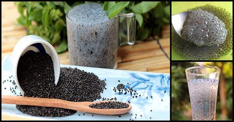 Amazing Health Benefits Of Basil Seeds You Need To Know Dr Farrah Md