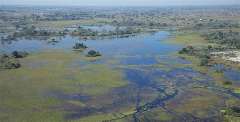 Bespoke Safaris In The Okavango Delta Botswana Journeys By Design