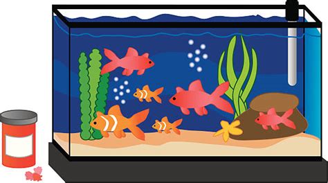 Free Fish Tank Clipart Download Free Fish Tank Clipart Png Images