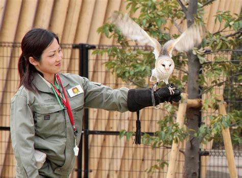 Travailler Dans Un Zoo Devenir Soigneur Animalier Sans Diplôme