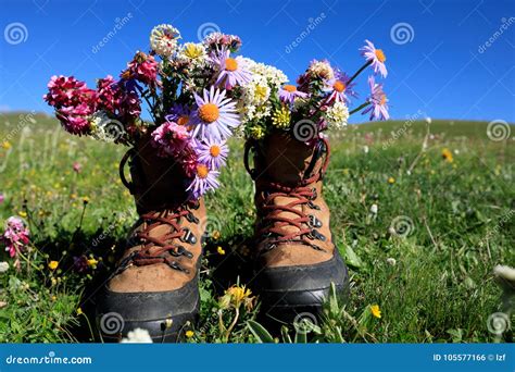 Hike Boots With Beautiful Flowers Stock Photo Image Of Trekking Discovery