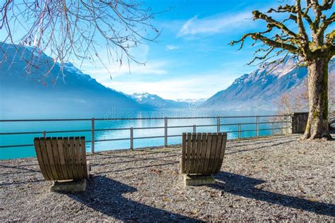 Lago Brienz Suiza Foto De Archivo Imagen De Travieso 65449188