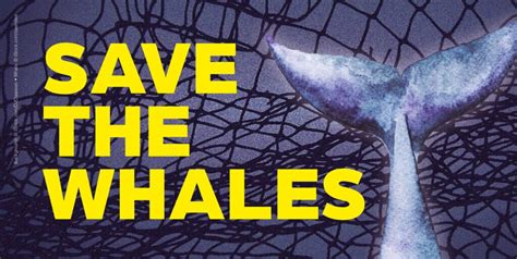 Turn The Tide To Help Save The Whales Peta
