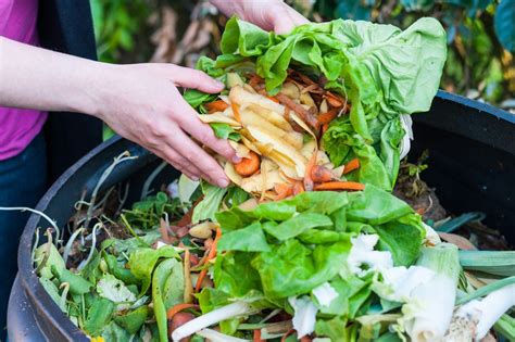 Can Retailers Solve The Issue Of Supermarket Food Waste Foodprint