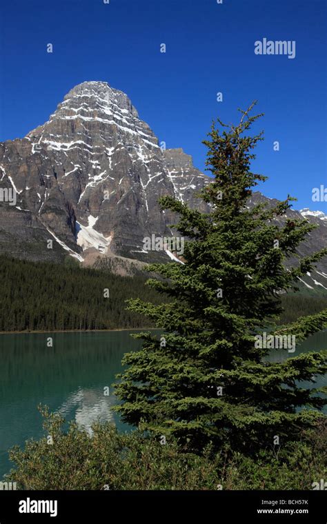Canada Alberta Banff National Park Mount Chephren Waterfowl Lake Stock