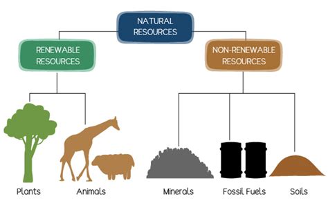 Types Of Natural Resources Eschooltoday