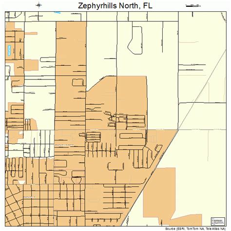 Zephyrhills North Florida Street Map 1279231
