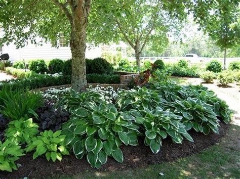45 Shade Garden Ideas Under Trees Silahsilahcom Shade Landscaping