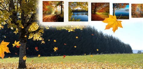 Falling Leaves Live Wallpaper For Pc Free Download And Install On