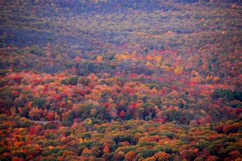 When And Where To View Fall Foliage 2017 In Pennsylvania