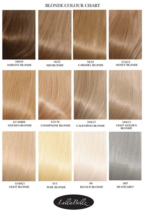 25 Hq Photos Shades Of Blonde Hair Chart Color Chart Human Hair
