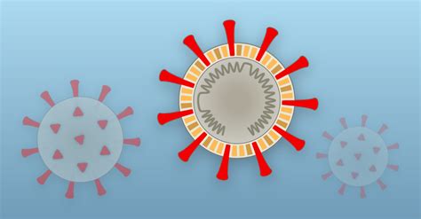 Lesson of the Day: 'How Coronavirus Hijacks Your Cells' - The New York ...